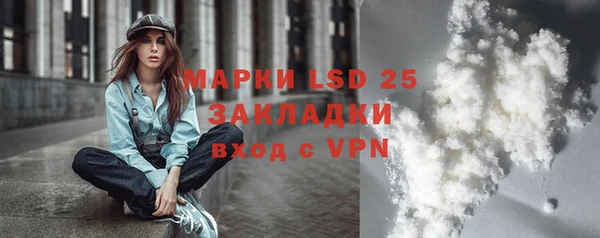 хмурый Арсеньев