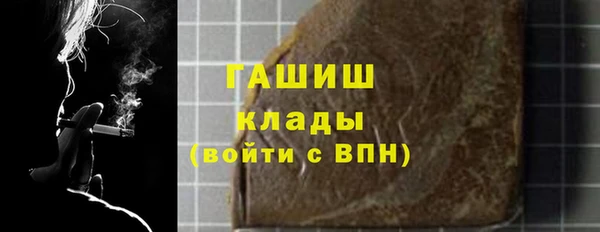 хмурый Арсеньев