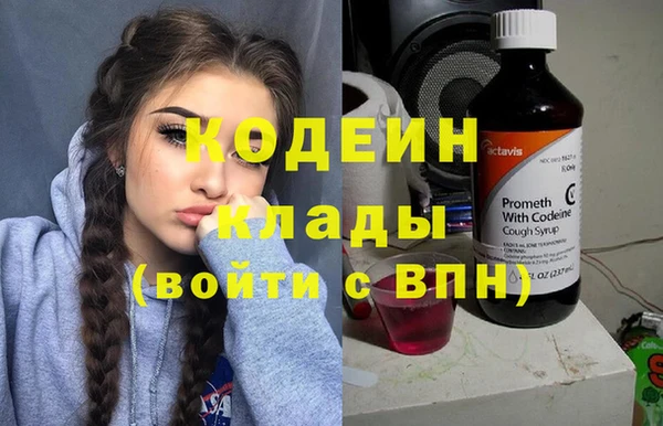 хмурый Арсеньев