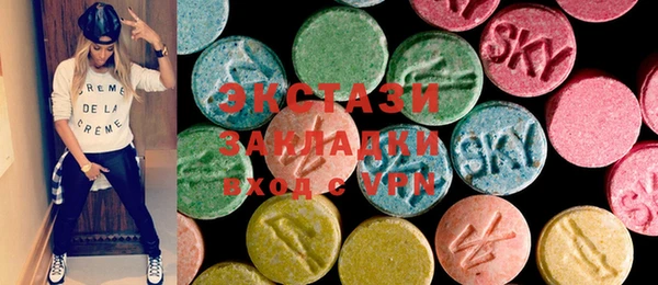 хмурый Арсеньев