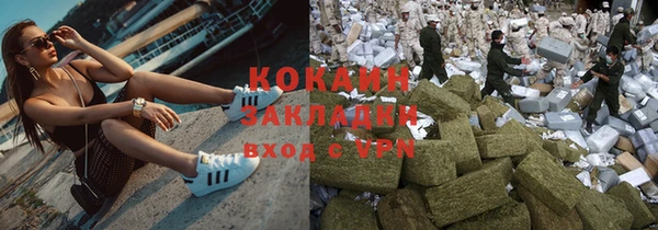 хмурый Арсеньев
