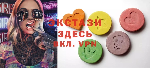 хмурый Арсеньев