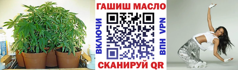 ТГК THC oil  darknet наркотические препараты  Кириши 