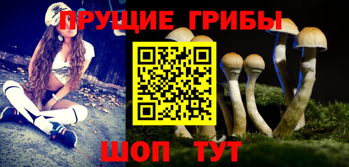 Псилоцибиновые грибы MAGIC MUSHROOMS Кириши