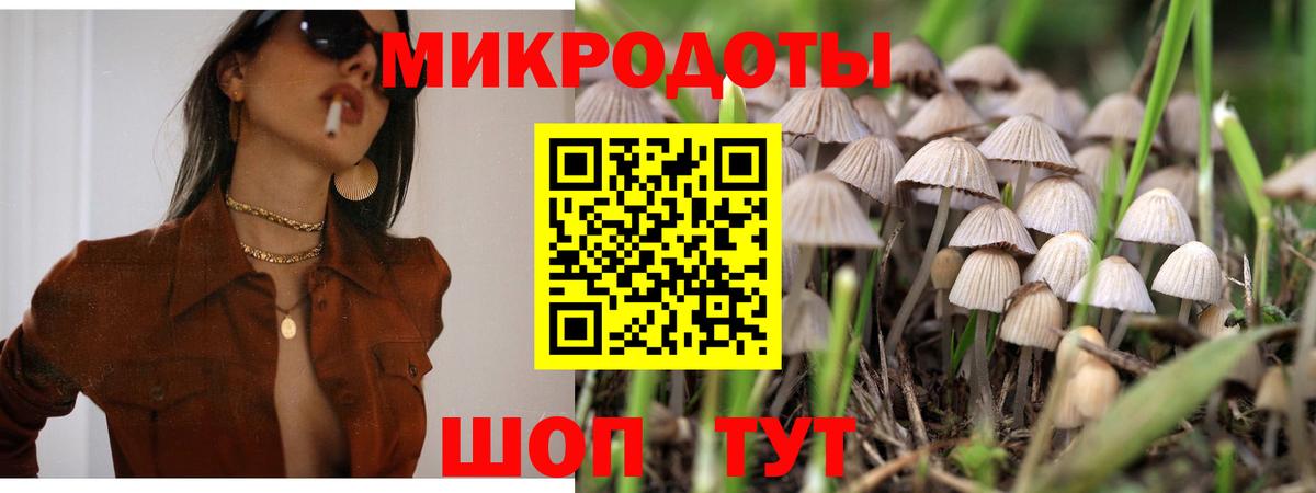 Кириши  купить   Галлюциногенные грибы Cubensis  Вход с VPN  Галлюциногенные грибы GOLDEN TEACHER 